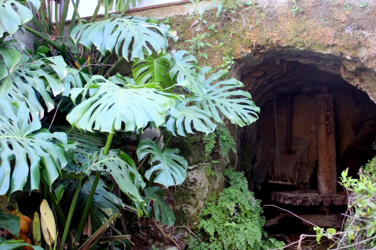 Molino Maroto Casa Rural Villa Alhaurín el Grande Eksteriør billede